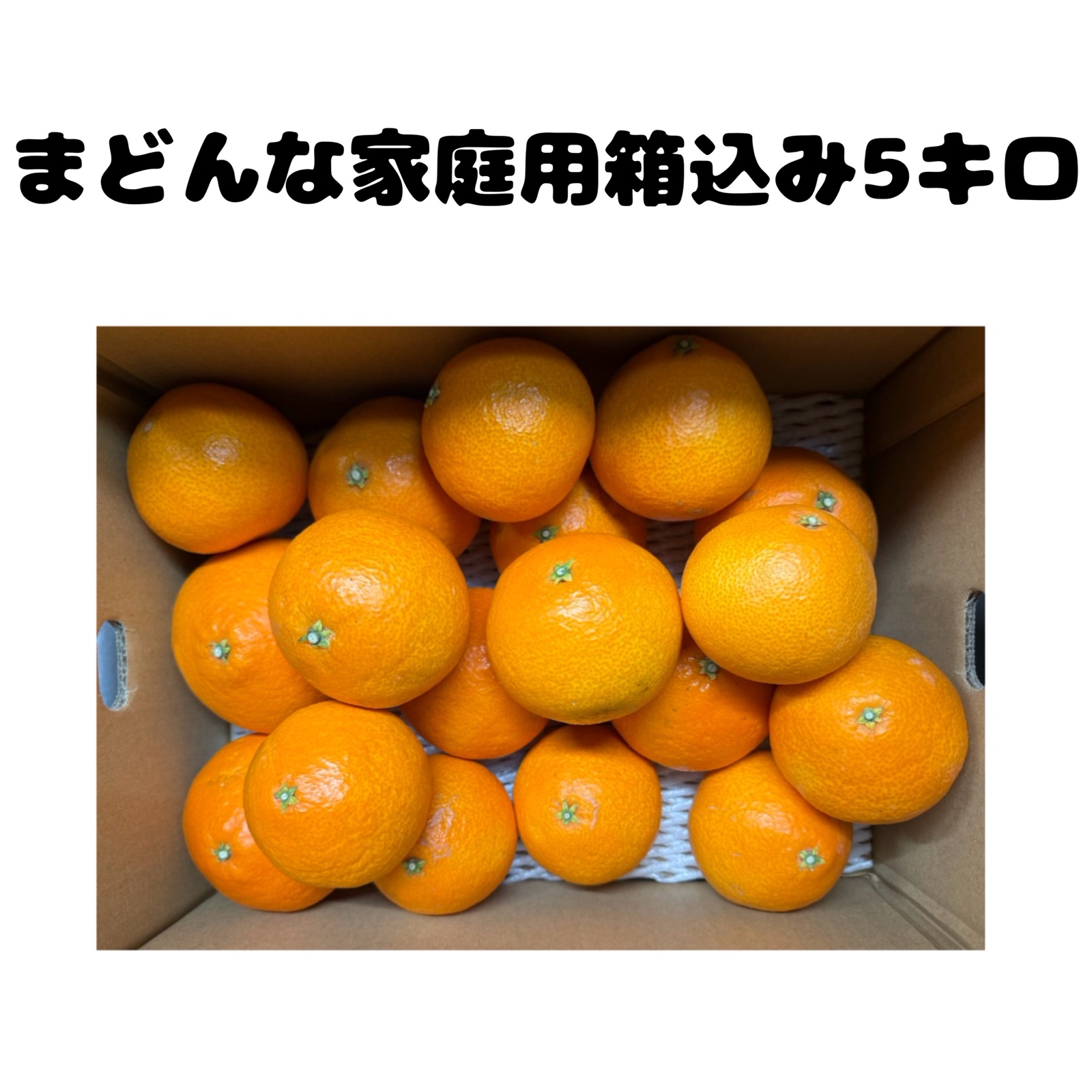 まどんな4.5キロ＋みかん4.5キロセット | 果物/オレンジ・その他みかん