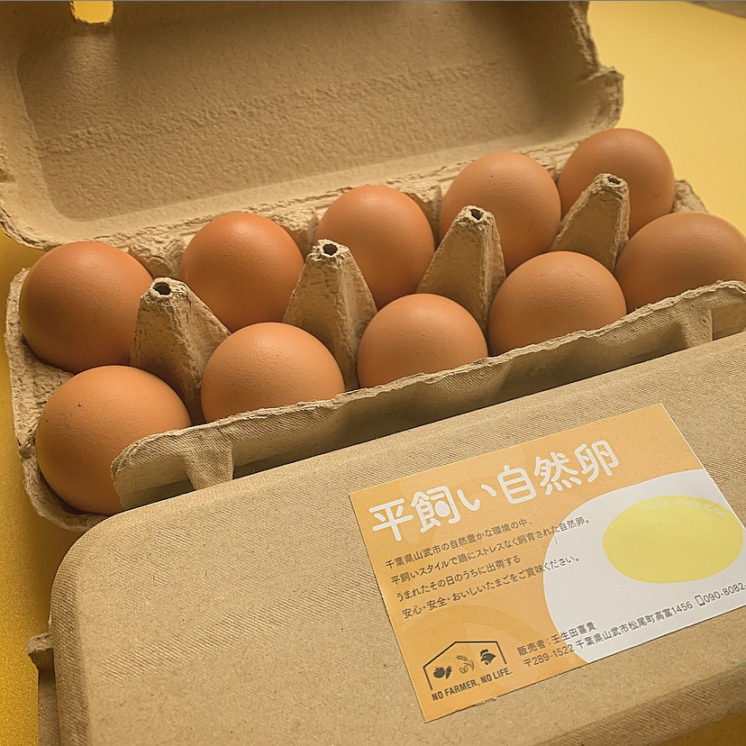 平飼い有精卵（10個入×4パック） ｜ 卵/鶏卵 産直アウル 農家・漁師