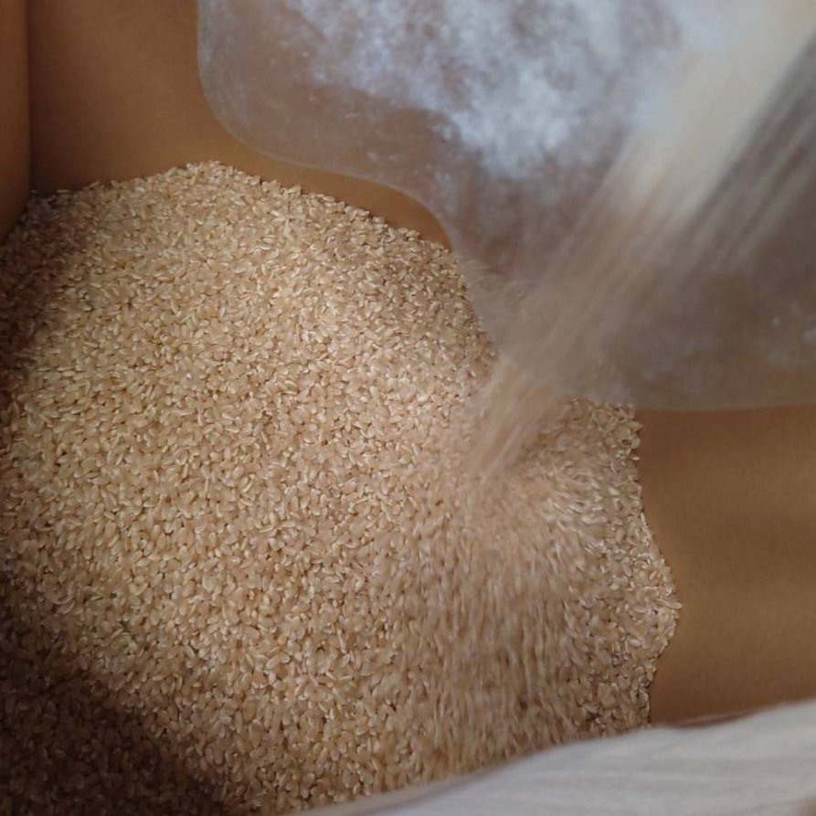 ②新米【餅米 玄米30kg】令和7年度宮城県産みやこがねもち 12月上旬発送「新米もち米玄米30kg」令和7年度宮城県産みやこがねもち