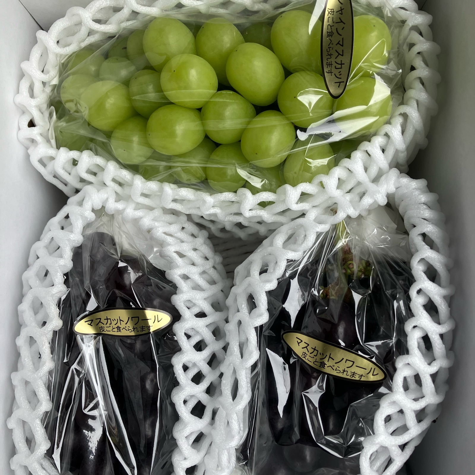 葡萄苗 ♣︎マスカットノワール 希少 新品種 黒いシャインマスカットの