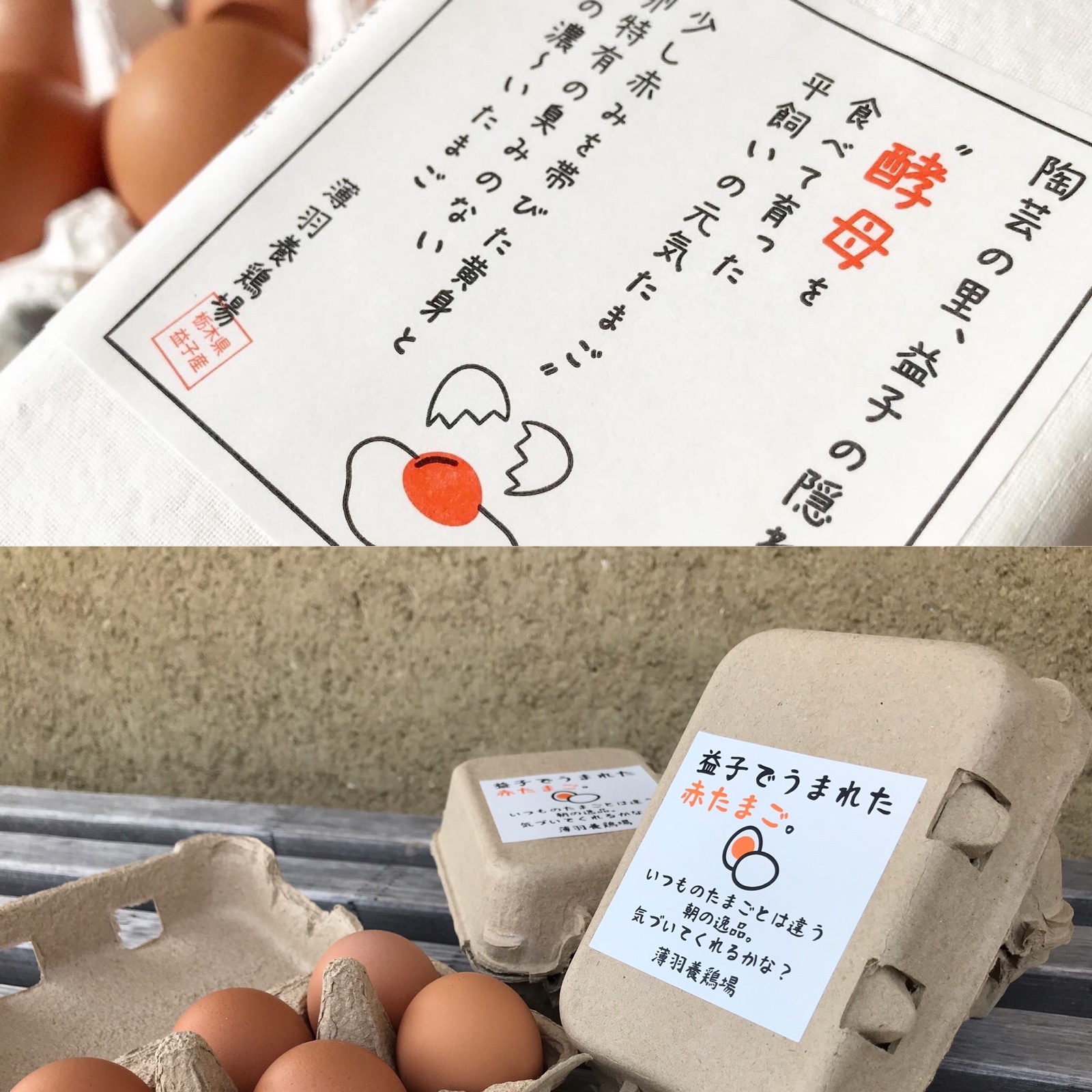 松原様】「酵母・平飼い6個×10パック」と「赤たまご6個×6パック」 | 卵