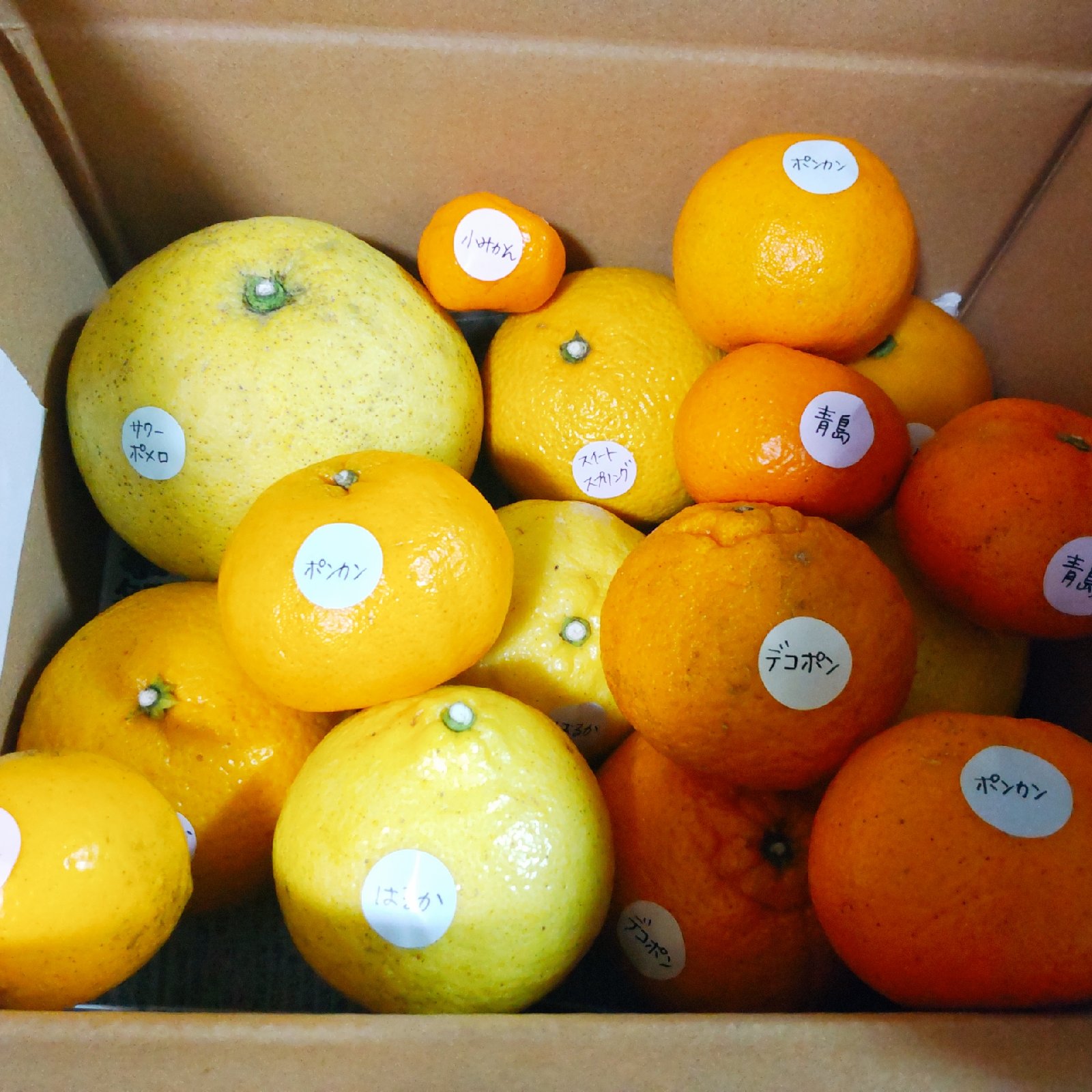 産地詳細 | 鹿児島県鹿児島市 | 産直アウル 農家から直接野菜などの