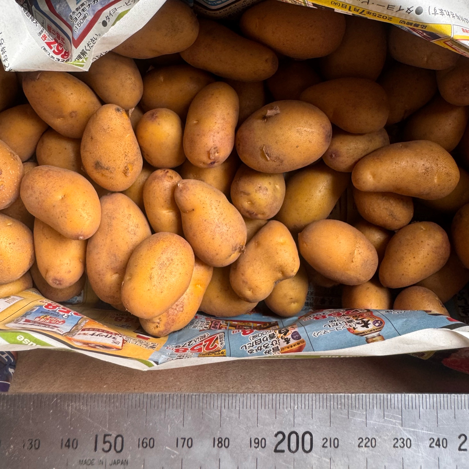 インカのめざめ：1kg（コロコロサイズ） ｜ 野菜/じゃがいも 産直