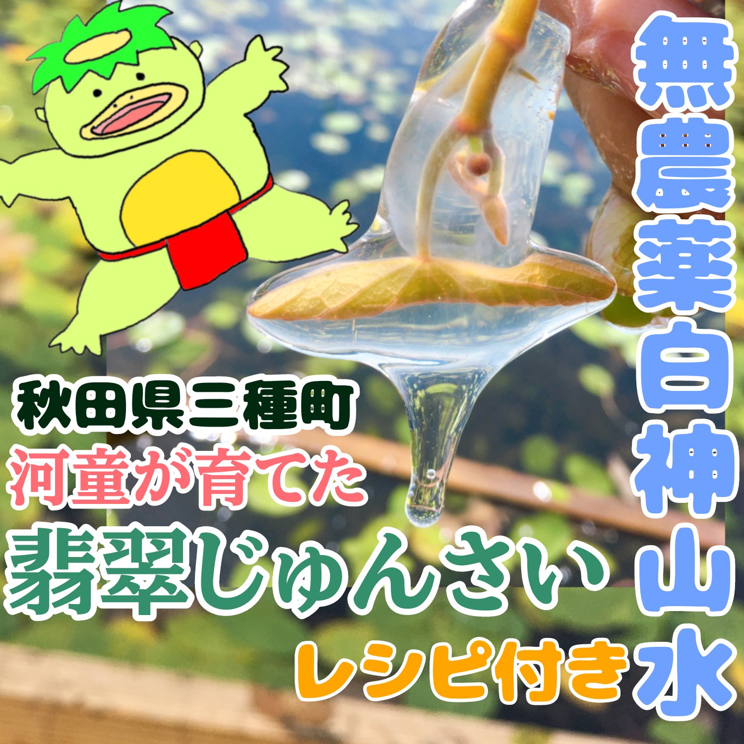 農地直送 秋田県三種町 翡翠生じゅんさい 3キロ | 野菜/その他 農地直送 秋田県三種町 翡翠生じゅんさい 3キロ | 野菜/その他