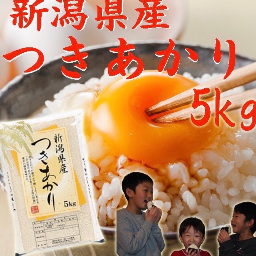 令和7年産新潟県産 つきあかり 白米 5kg 5キロ お米 (送料込み) ｜ 米 