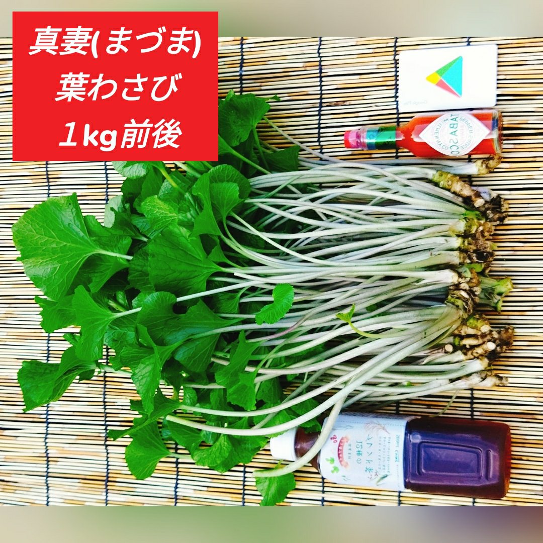 幻⁉真妻(まづま)】葉わさび(訳あり)【1kg前後】お得,お試し,おまかせ