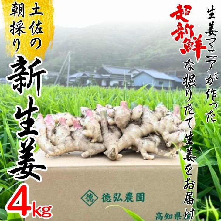 徳弘農園（高知県・土佐市）｜生産者詳細｜産直アウル