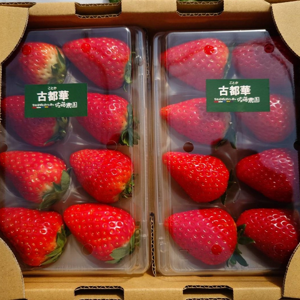 朝採り新鮮・特大いちご（古都華） ｜ 果物/いちご 産直アウル 農家