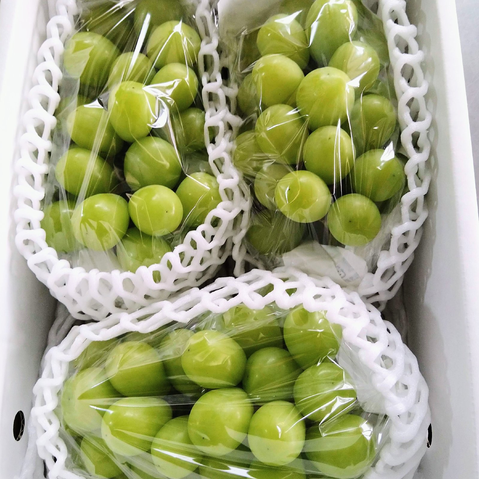 超大房シャインマスカット 超大房🍇850g以上！超特大シャインマスカット ｜ 果物/ぶどう 産直