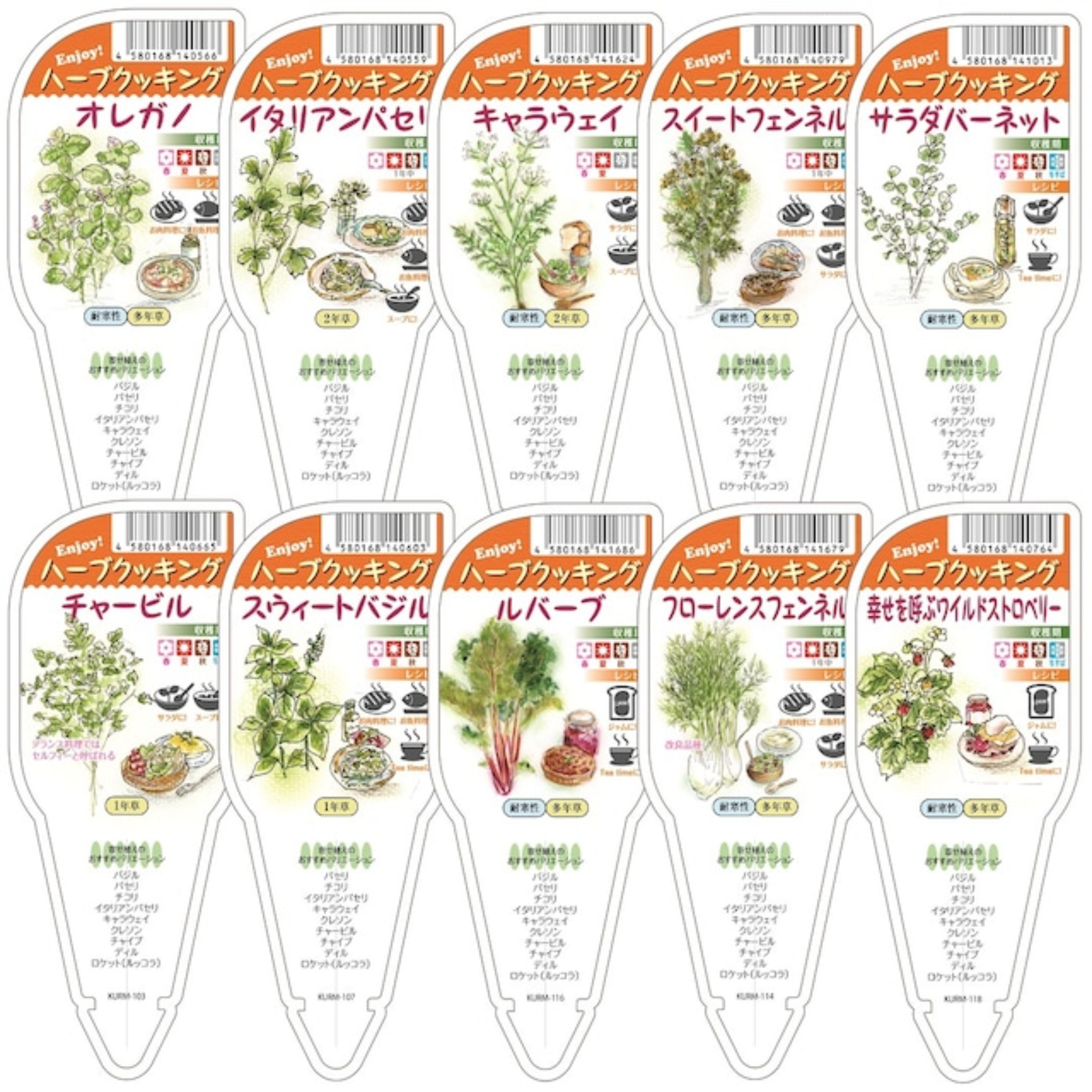 ハーブ苗おまかせ9種セット(クッキング用) | その他/花・植物 産直アウル(OWL)農家から直接野菜などの食材を購入できる産地直送の宅配通販サイト ハーブ苗おまかせ9種セット(クッキング用) | その他/花・植物 産直アウル(OWL)農家から直接野菜などの食材を購入できる産地直送の宅配通販サイト
