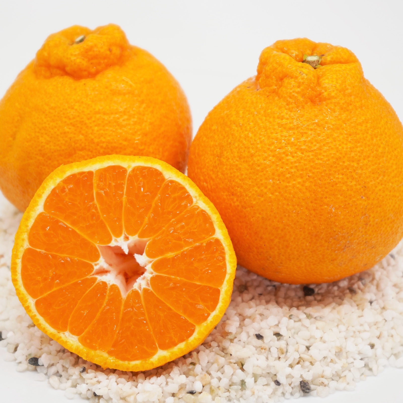 cocoaはるか18kg.不知火2kg cocoa様専用はるか18kg.不知火2kg 【公式通販】