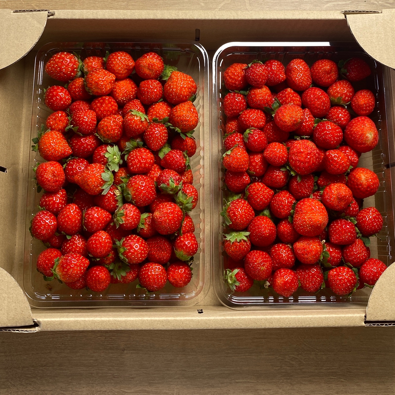 夏秋いちご【加工用2.4キロ】 | 果物/いちご 産直アウル 農家から直接