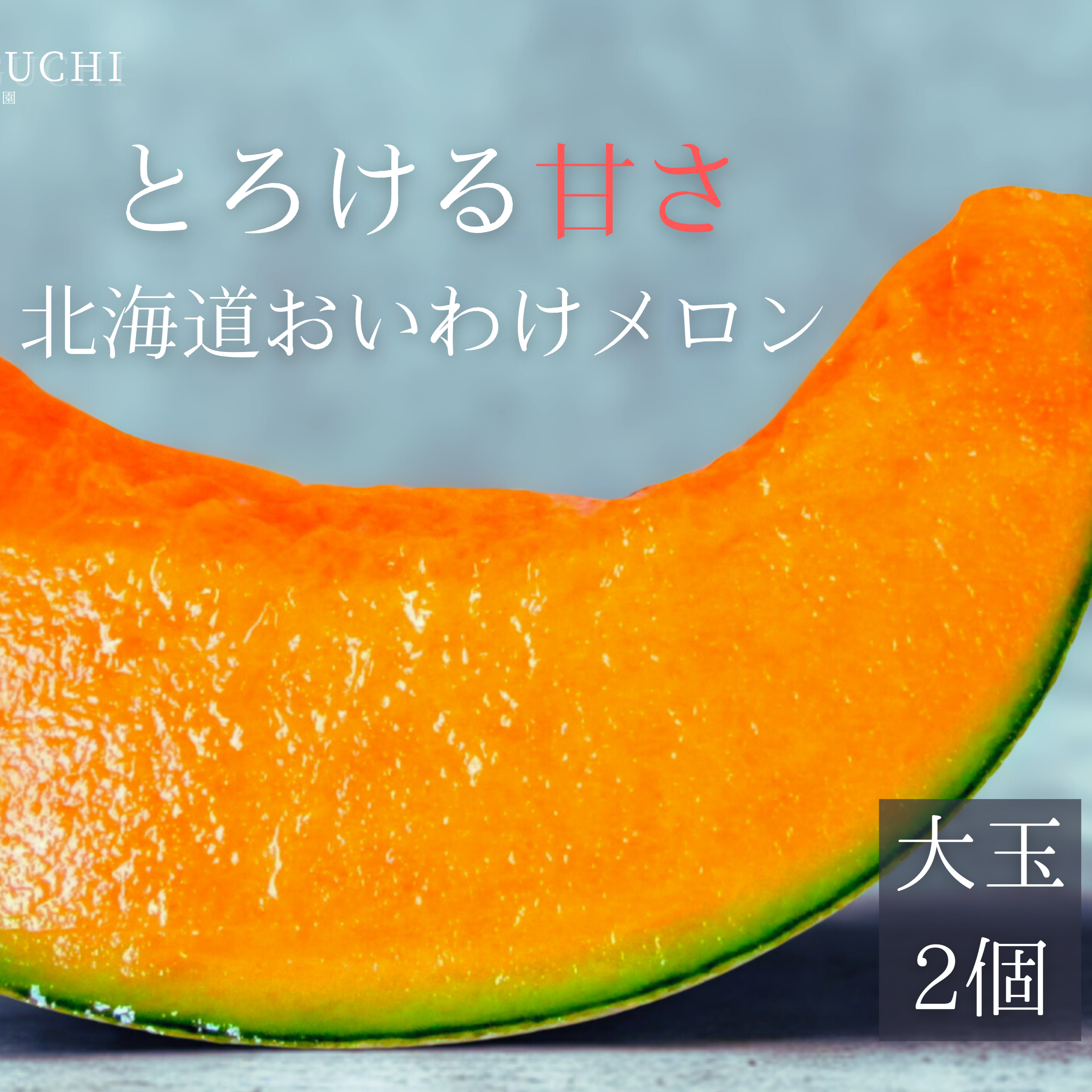 ギフトに大人気 【北海道メロン】 2玉入り 大玉 ｜ 果物/メロン 産直