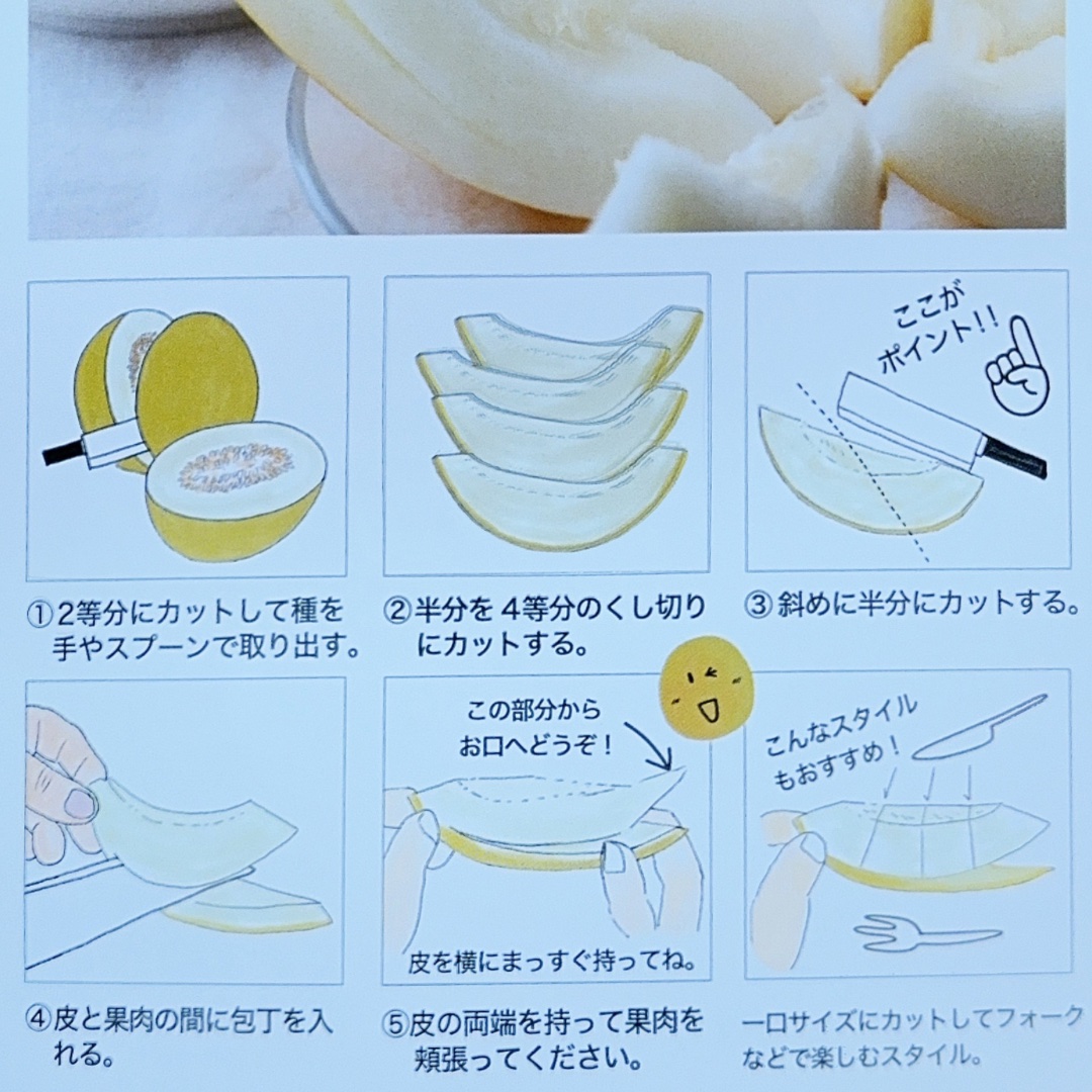 イエローキング2L2玉 | 果物/メロン 産直アウル 農家から直接野菜など