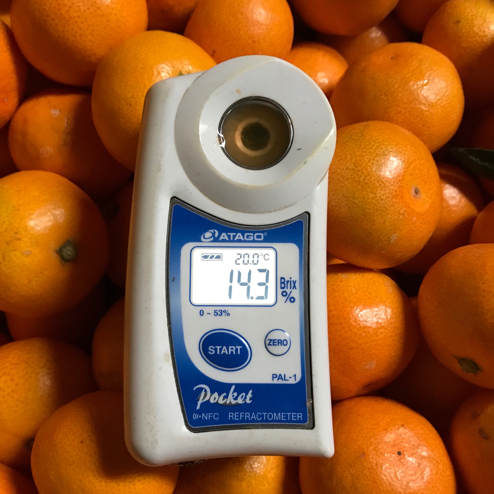 激甘！宮川早生 小玉（3S） 10kg | 果物/温州みかん 産直アウル 農家