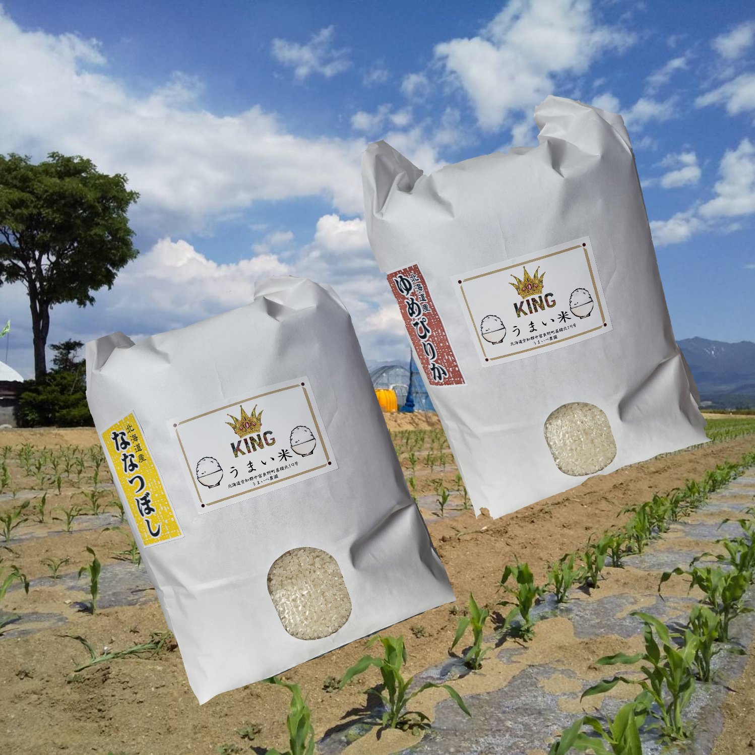 ゆめぴりか、ななつぼしのブレンド米 | 米・穀物/米/精米 産直アウル