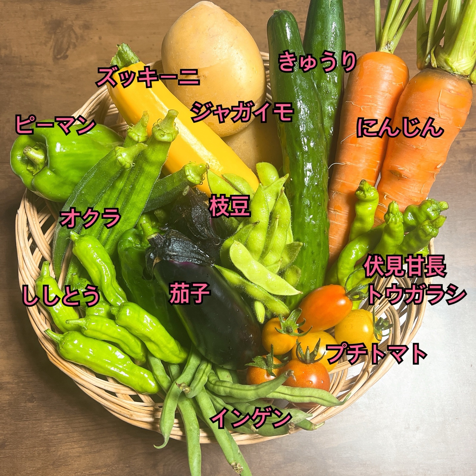 旬祭限定】80サイズ 旬のたっぷり夏野菜セット ｜ 野菜/野菜セット