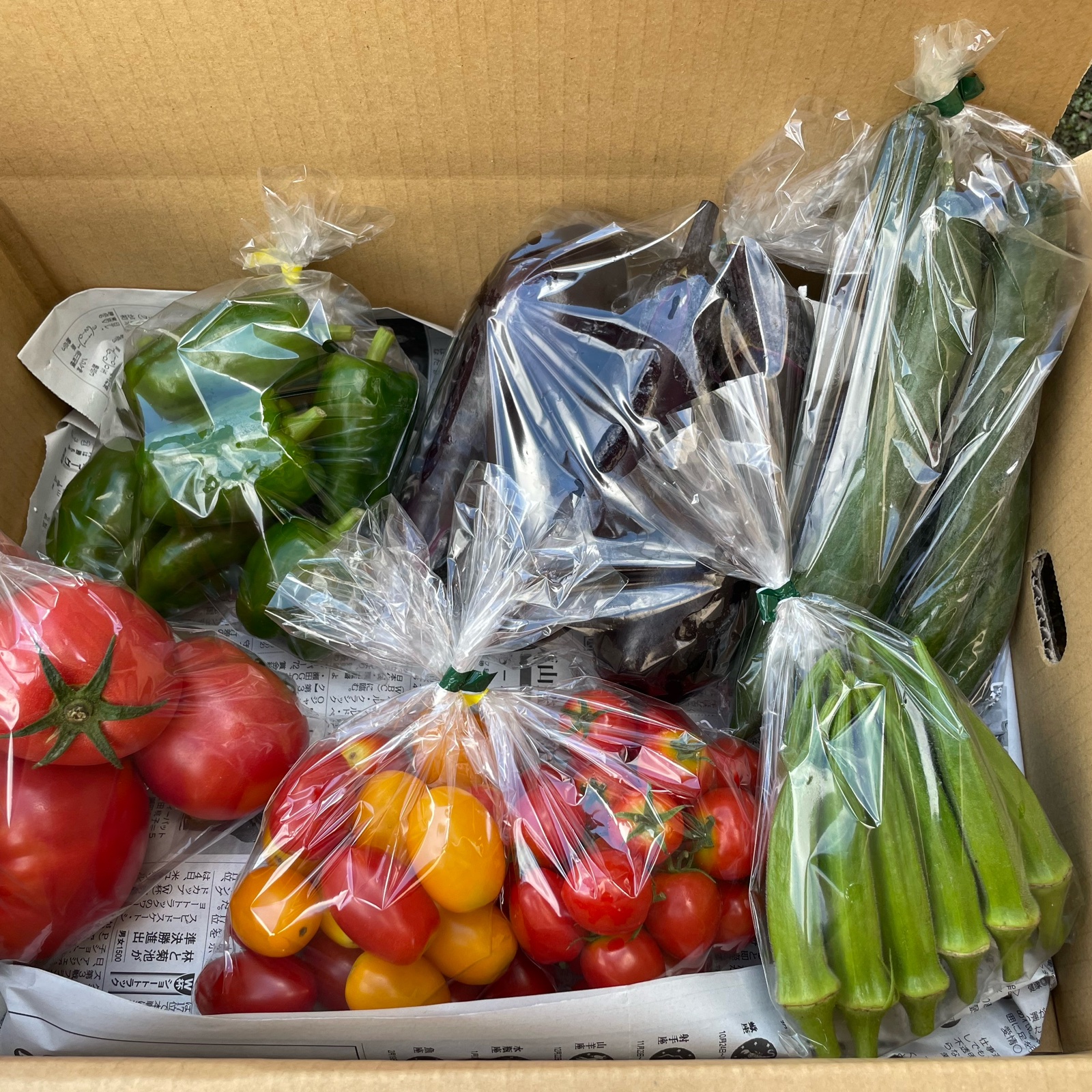 食品 メグロン様 野菜セット 特盛