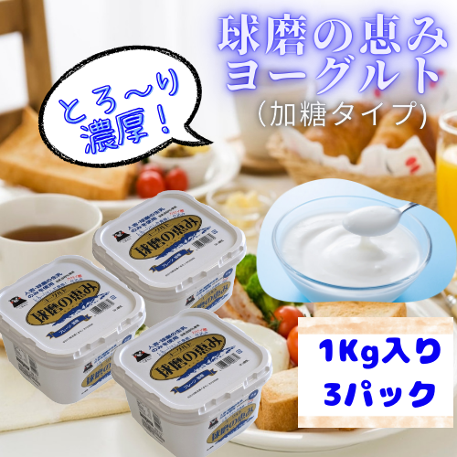 ヨーグルト　3kg 球磨の恵みヨーグルト（加糖）3Kg ｜ 乳製品/その他乳製品 産直アウル