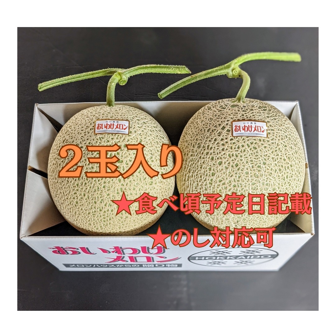 ギフトに大人気 【北海道メロン】 2玉入り 大玉 ｜ 果物/メロン 産直
