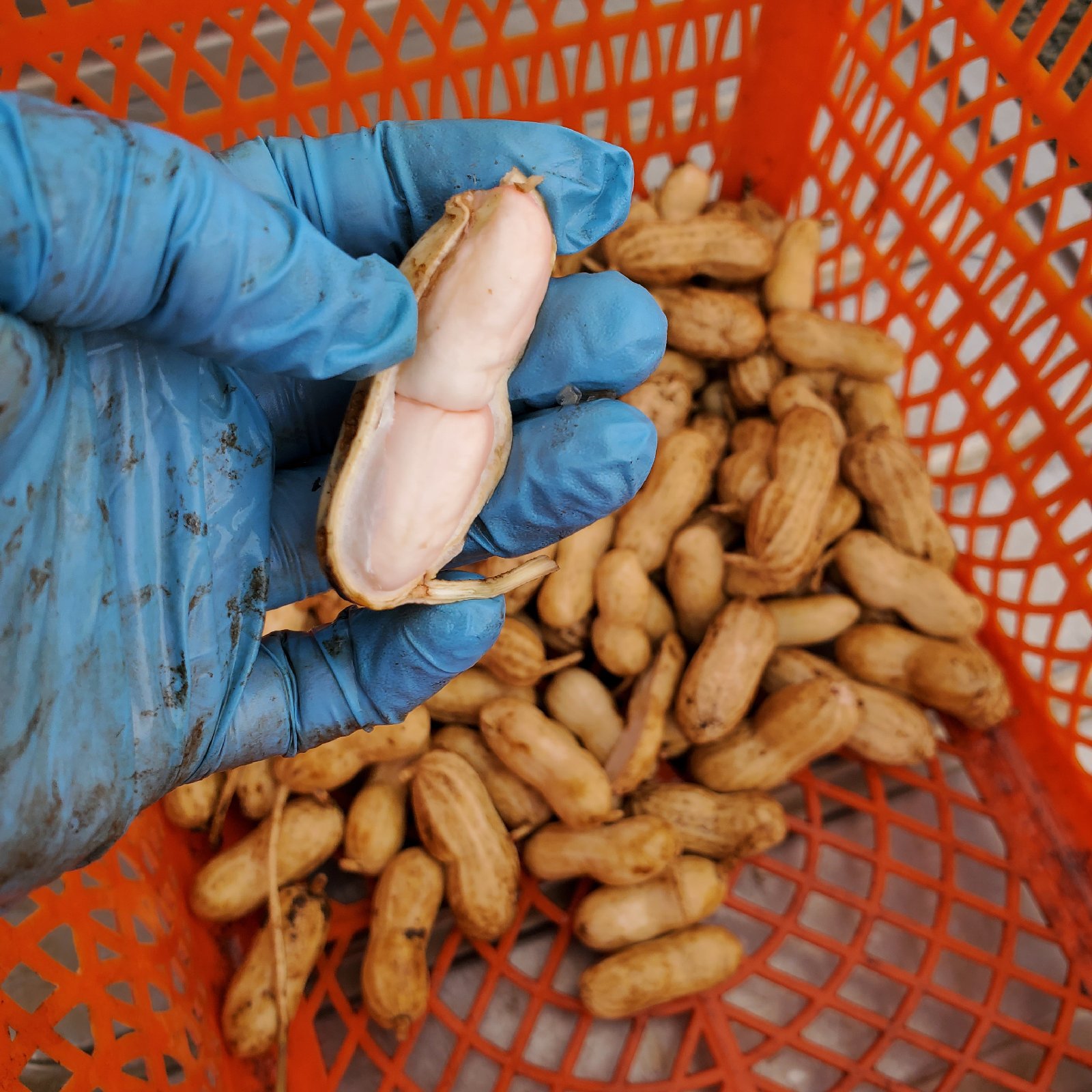 05d27ecea4bc65df3e0406d1894aba