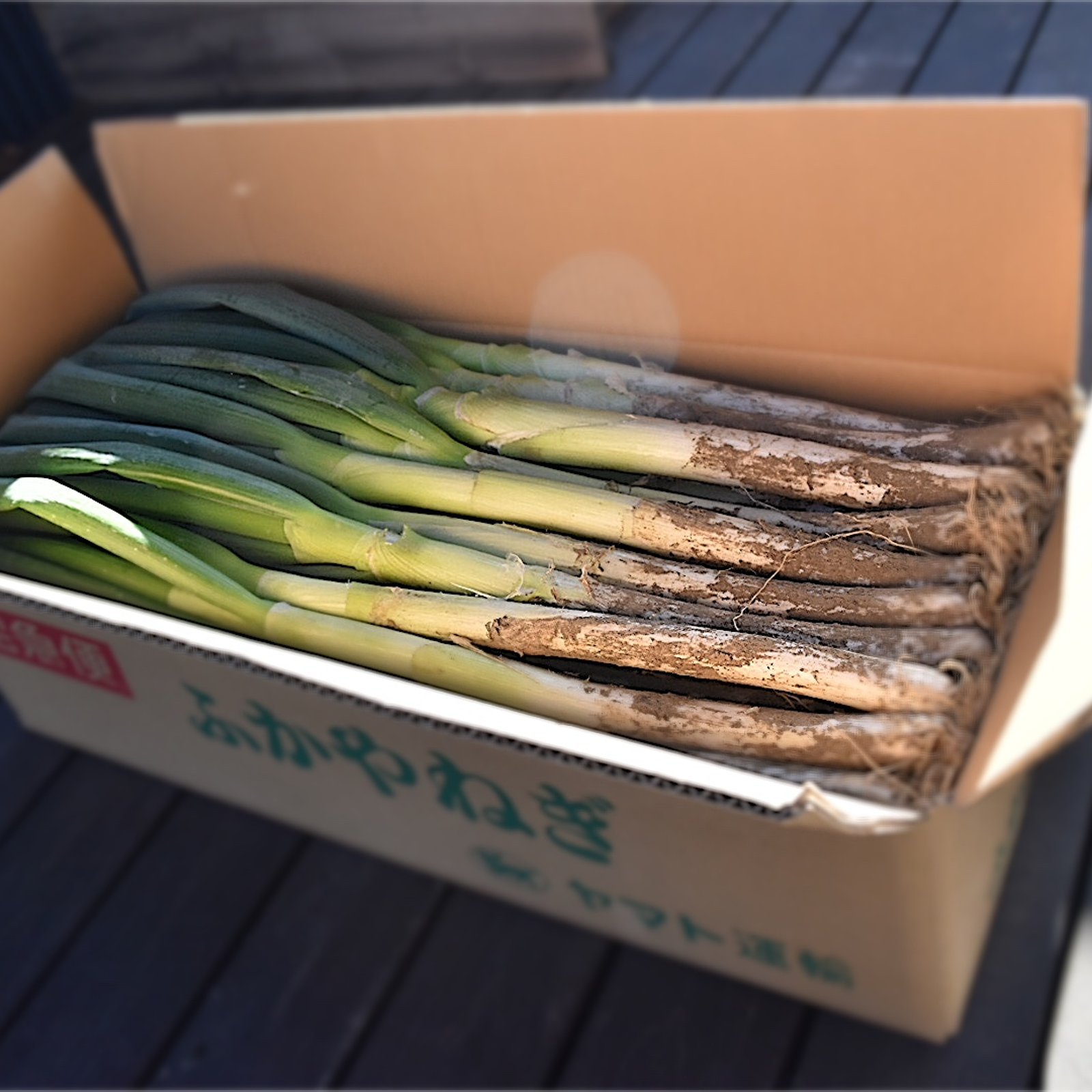 ねぎねぎさん専用