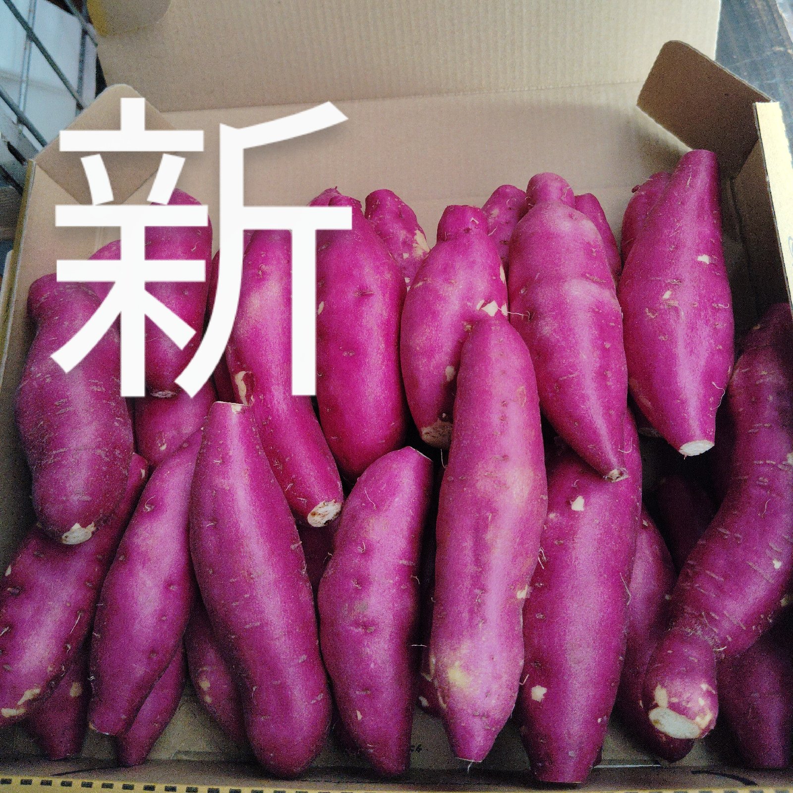 さつまいも さつまいも5kg 農薬不使用 6種から選べる｜公式ストア限定価格
