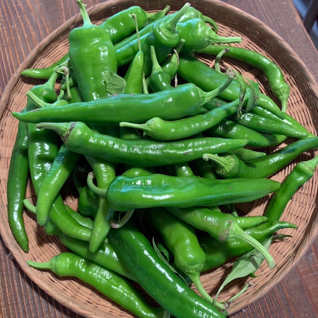 京都産 万願寺とうがらし 訳あり ｜ 野菜/ししとう 産直アウル 農家