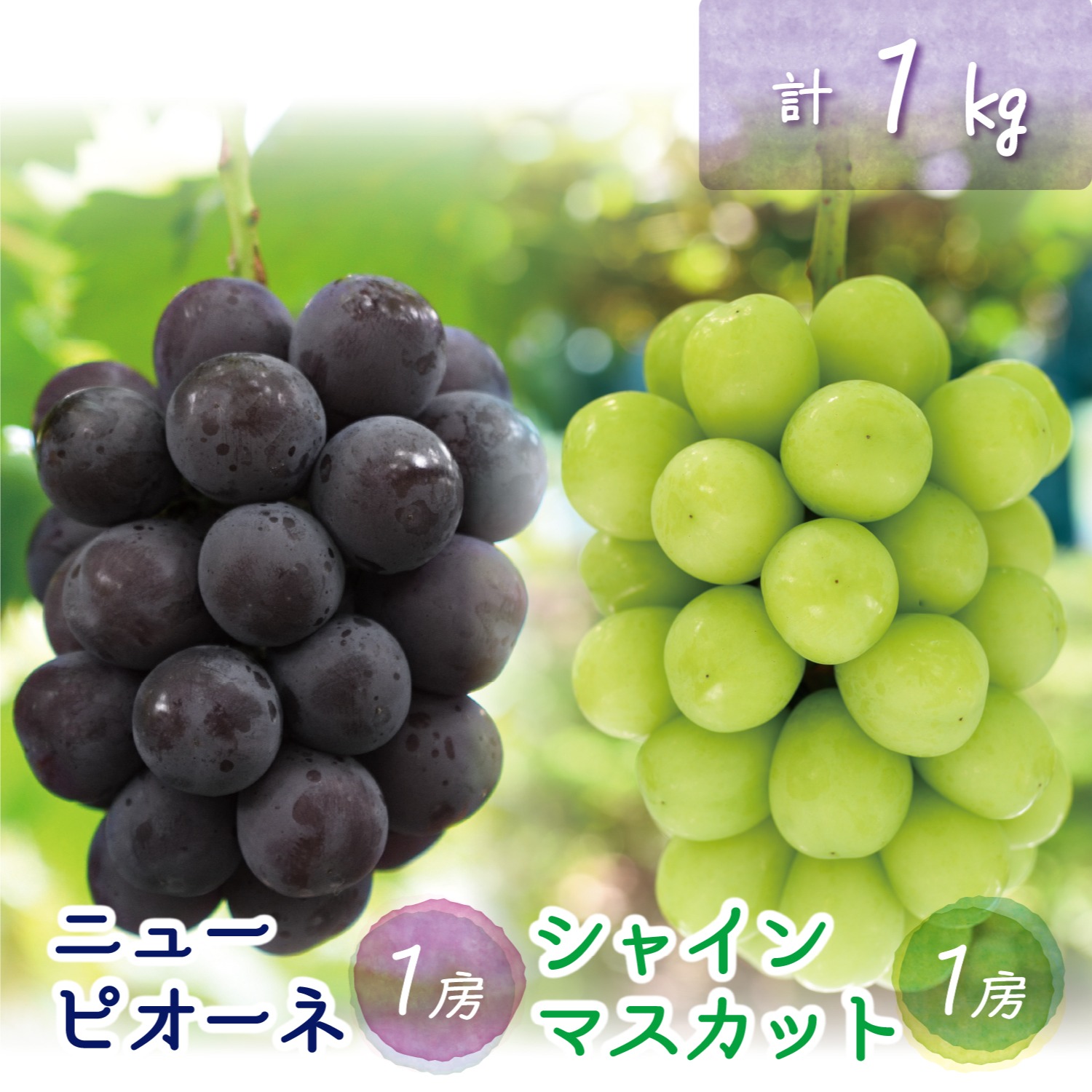 PS-1 花笑み農園 岡山の『ピオーネ＆シャインマスカット』1kg【9/18