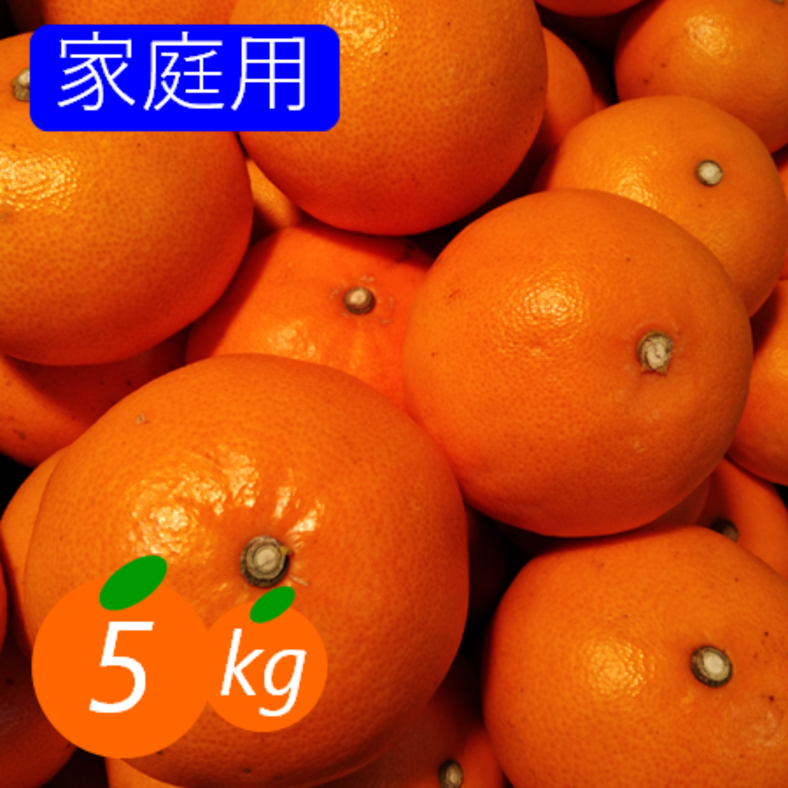 04.せとかLM5キロ＆ブラッドオレンジ5キロ 愛媛料金