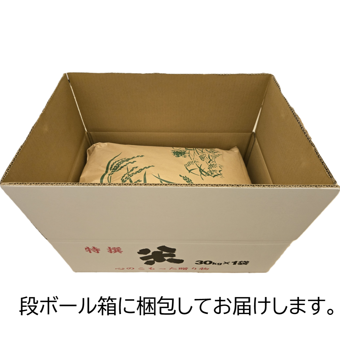 白米】コシヒカリ 10Kg 送料無料 令和7年 長野県産 新米 ｜ 米・穀物