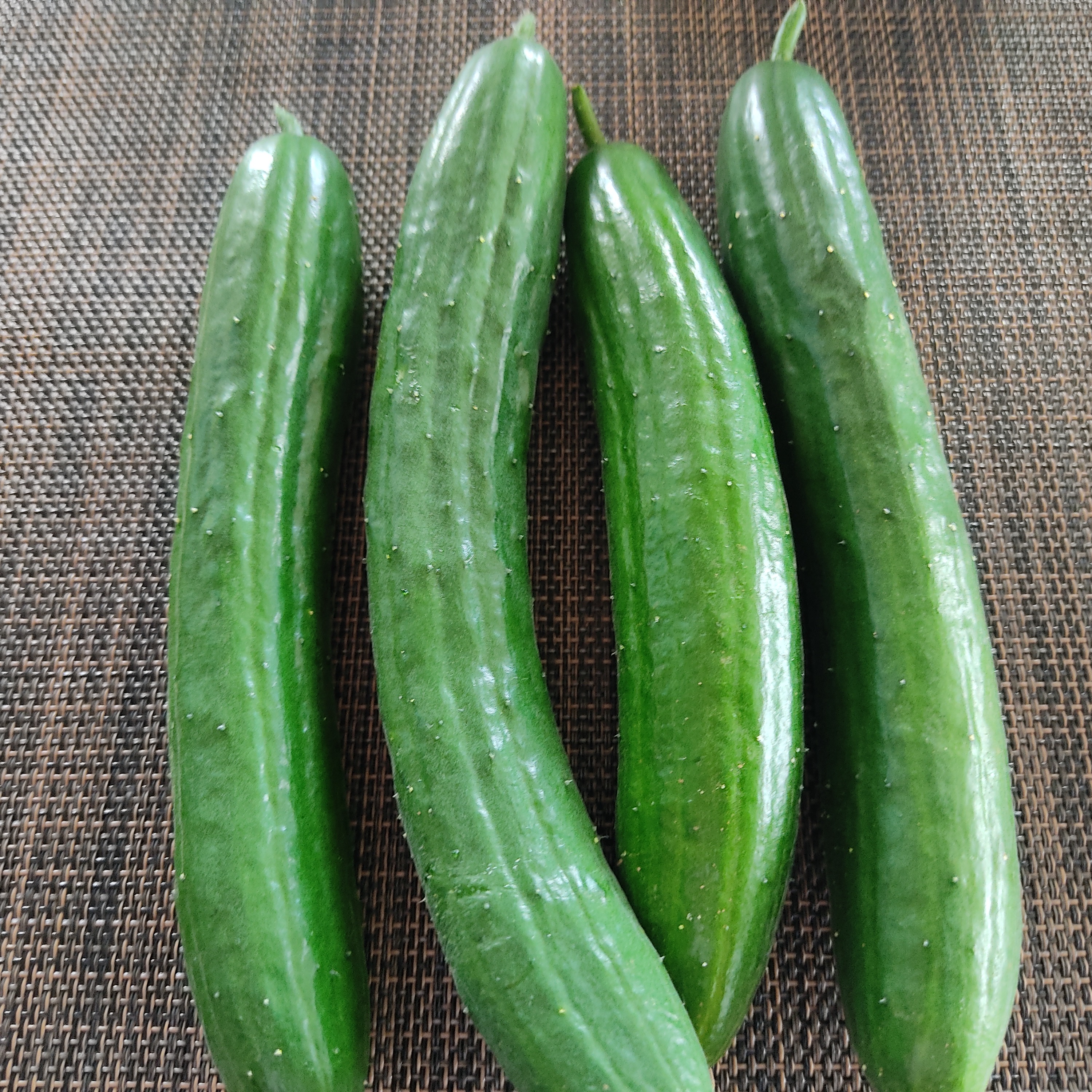 食品 ☆キュウリ3kg、タマネギ5kg、トウモロコシ4kg☆