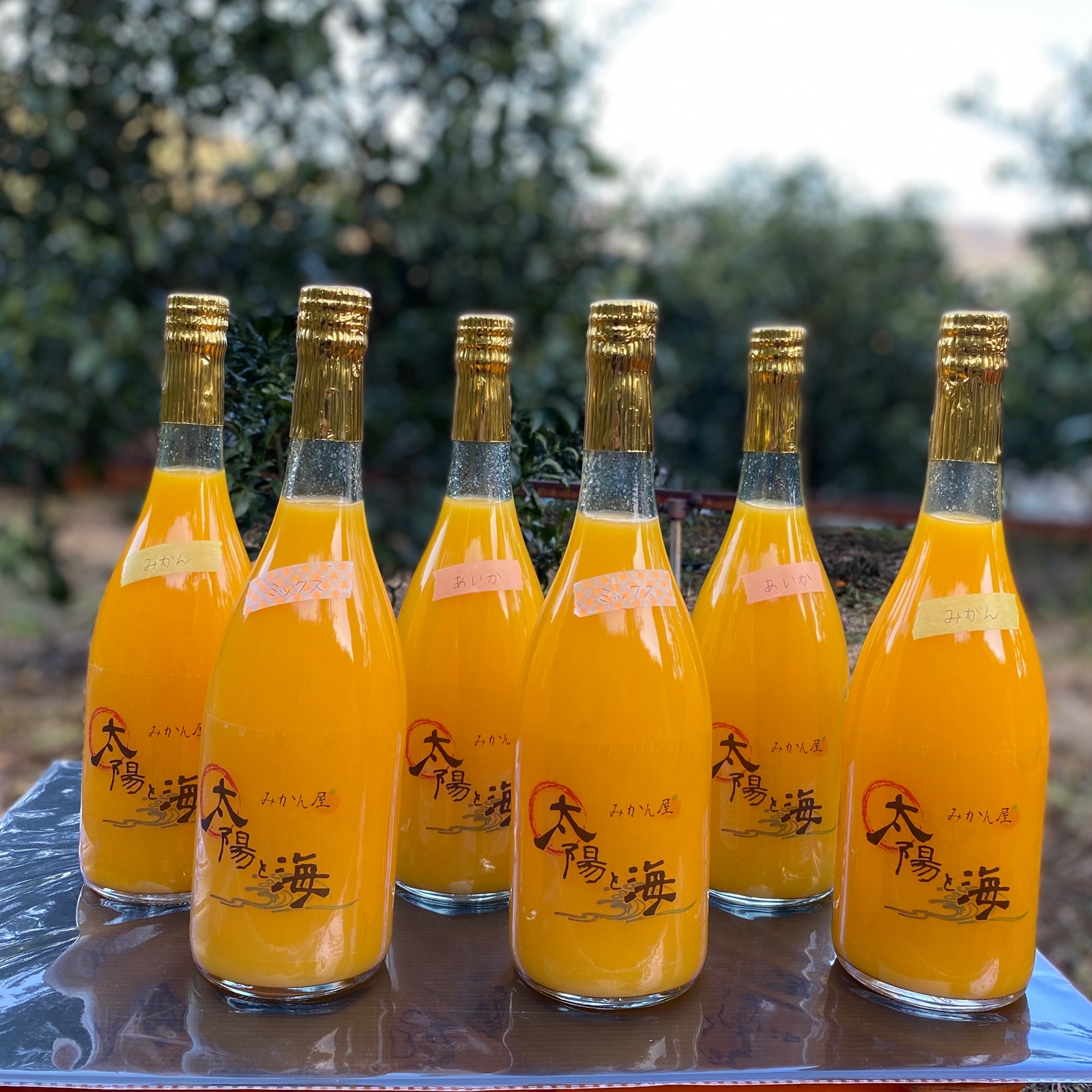 太陽と海 特選みかんジュース 7ml 4本セット 飲料 ジュース 産直アウル 農家から直接野菜などの食材を購入できる産地直送の宅配通販サイト