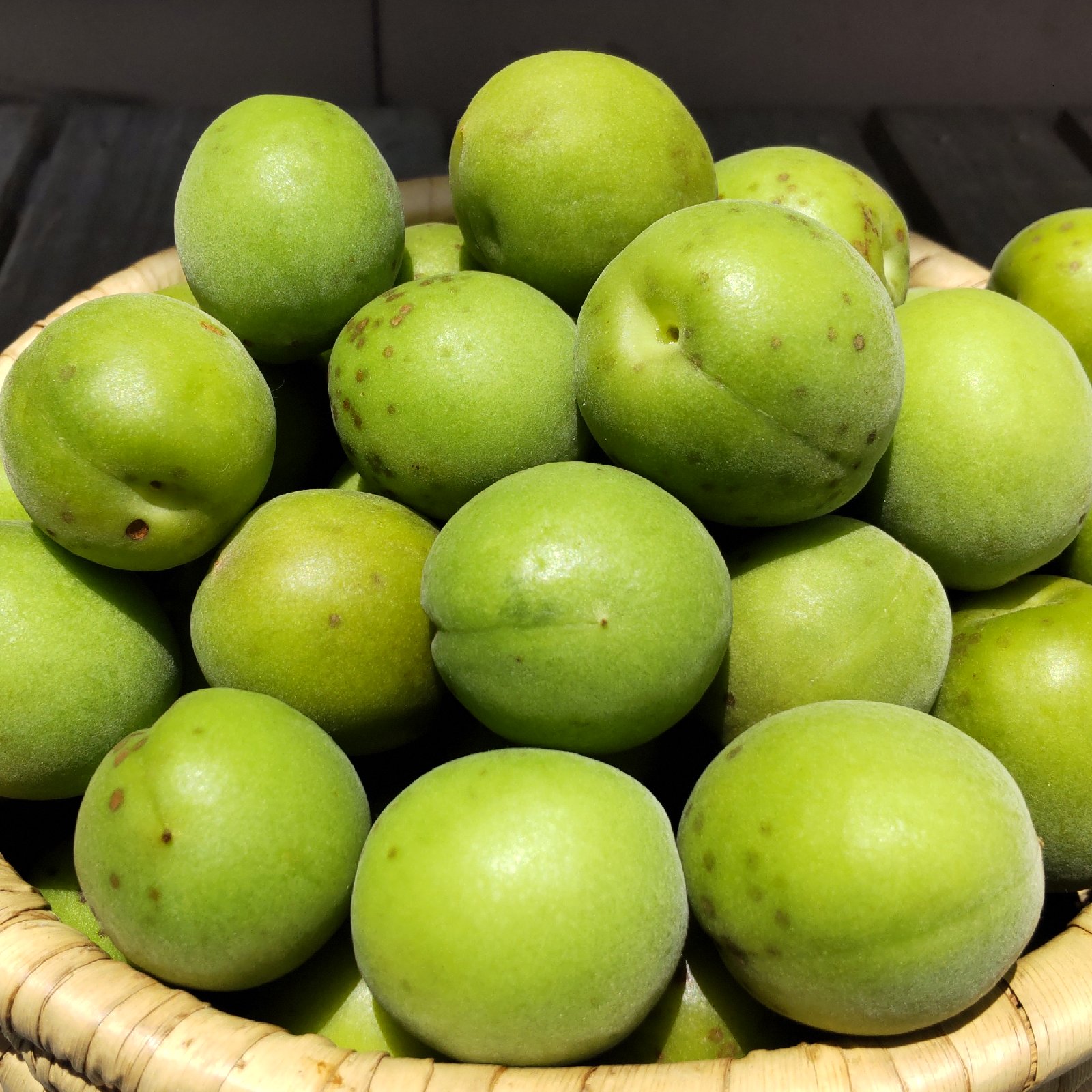 期間限定！自然栽培 青梅 4kg】 ｜ 果物/青梅 産直アウル 農家・漁師