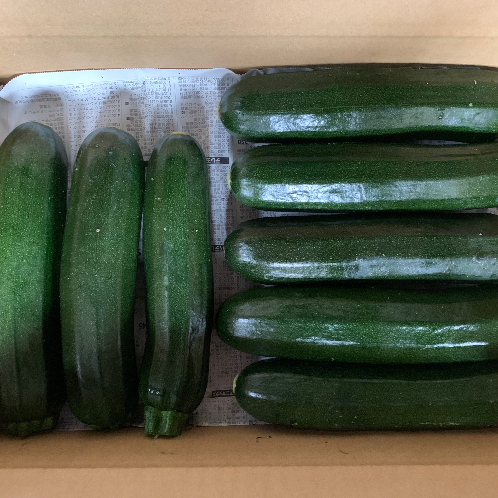 採りたてズッキーニ群馬県産（6kg） ｜ 野菜/ズッキーニ 産直アウル