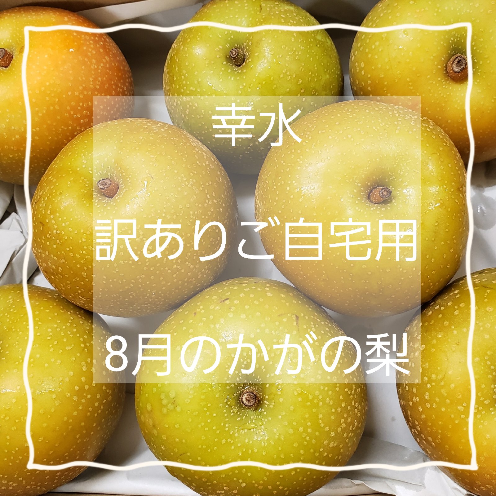 アウルクール便発送！幸水！梨！規格外品！2kg！ ｜ 果物/梨 産直