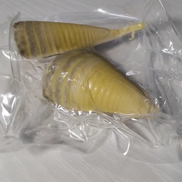 自然栽培筍の無添加水煮パック 約90g✕5パック 無農薬無肥料栽培 添加