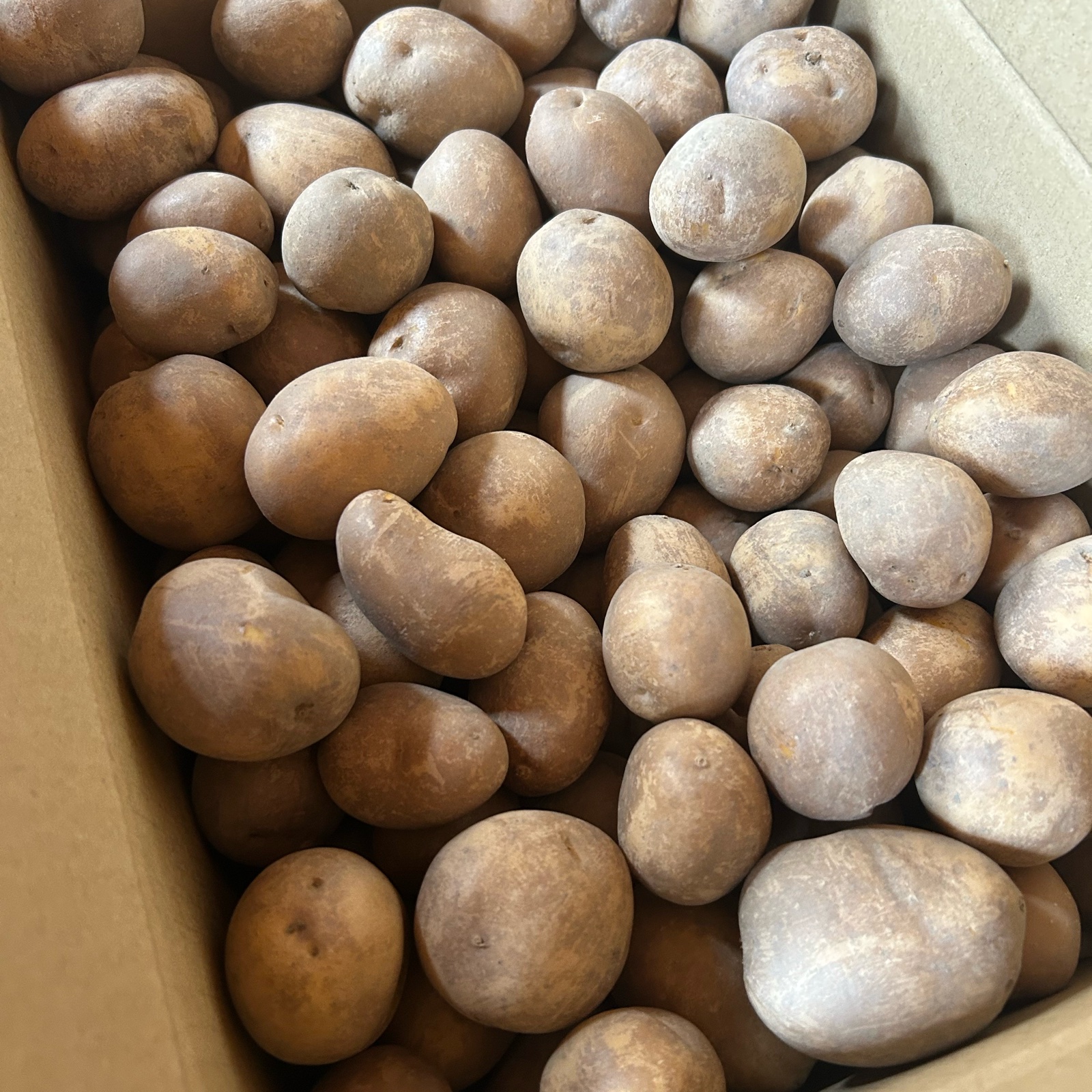 インカのめざめの産地直送食材一覧（通販・お取り寄せ）-産直アウル