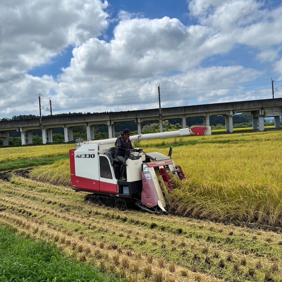 令和8年産 新米】栃木県大田原市産 コシヒカリ 玄米10kg｜桜林農園