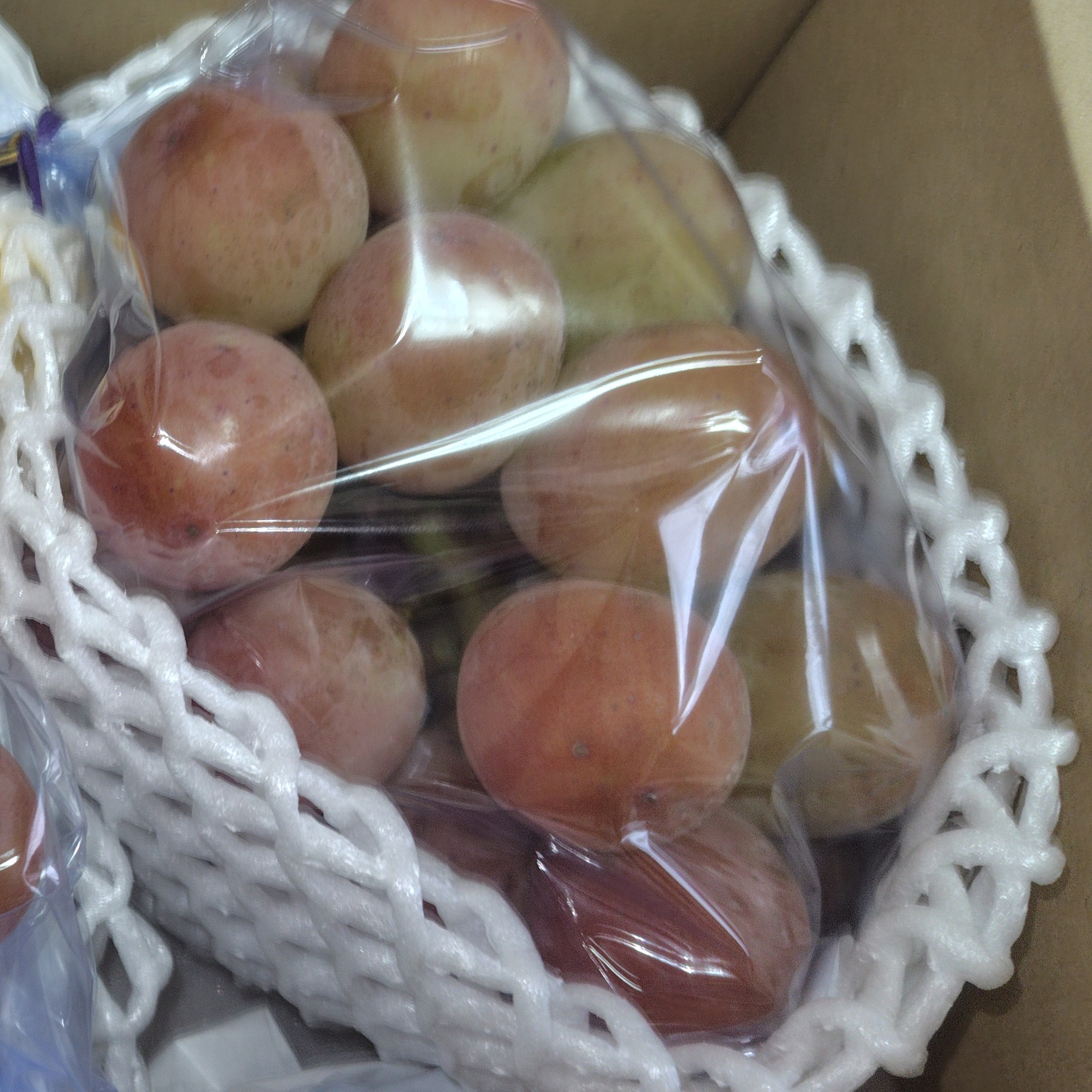 高畠町産☆悟紅玉（ゴルビー）60サイズ 二房 ｜ 果物/ぶどう 産直