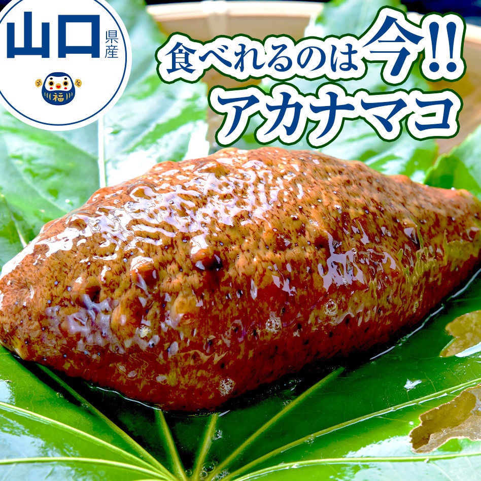 ナマコ（魚介類）の産地直送商品一覧（通販・お取り寄せ）-産直