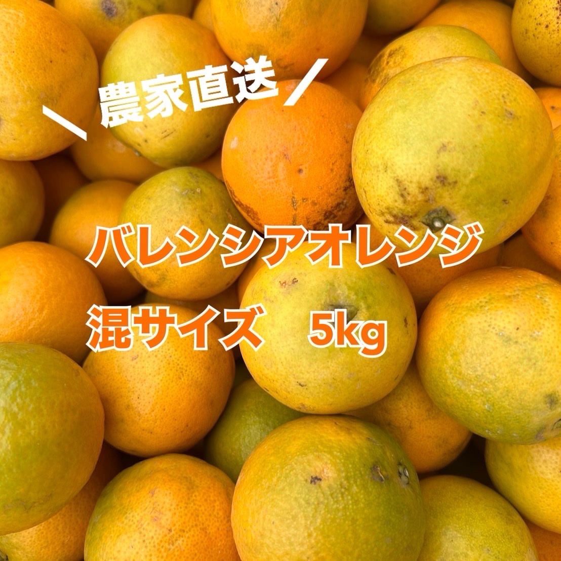 和歌山県有田産 ﾊﾞﾚﾝｼｱｵﾚﾝｼﾞ5kg 混サイズ 産地 農家直送 ｜ 果物