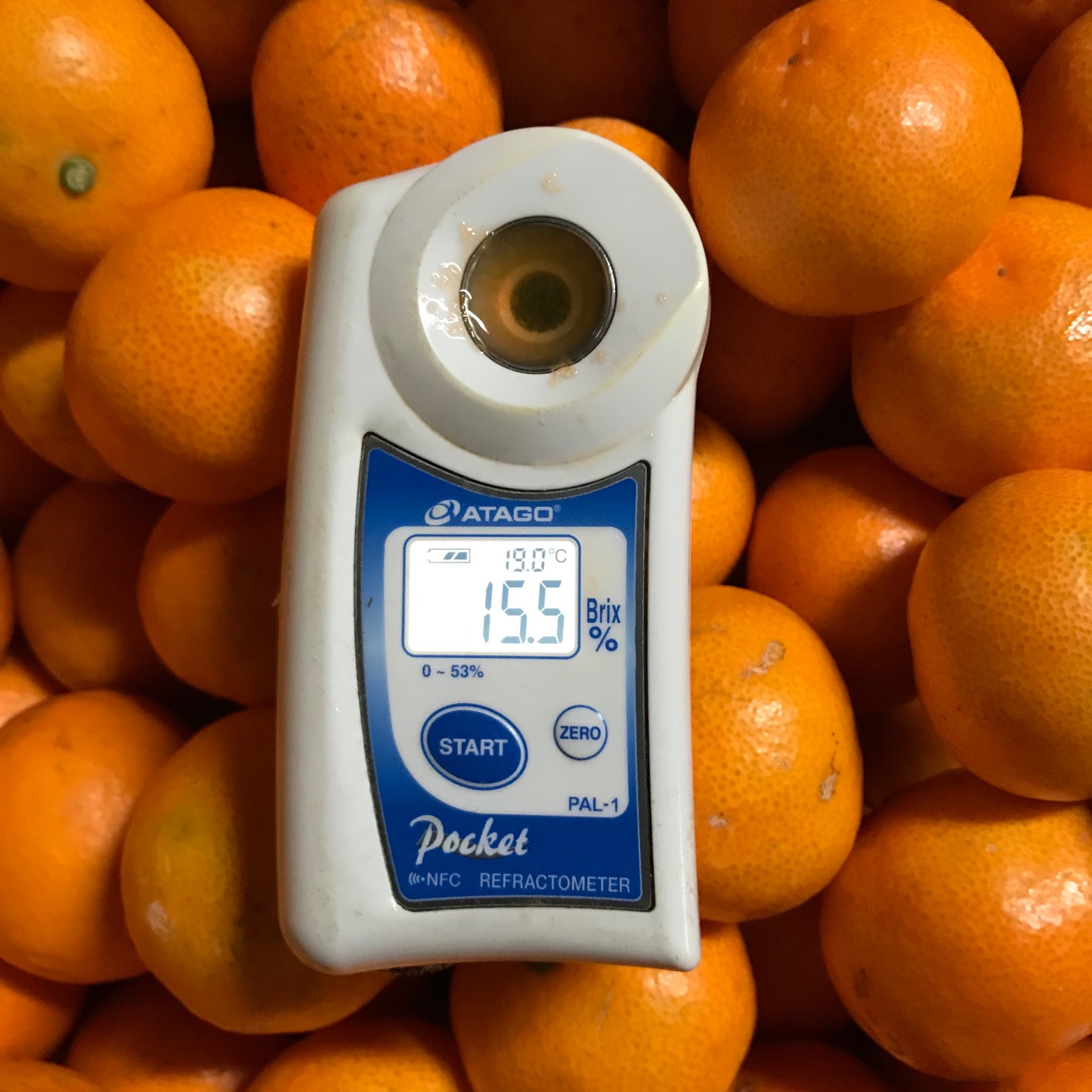 激甘！宮川早生 小玉（3S） 10kg | 果物/温州みかん 産直アウル 農家