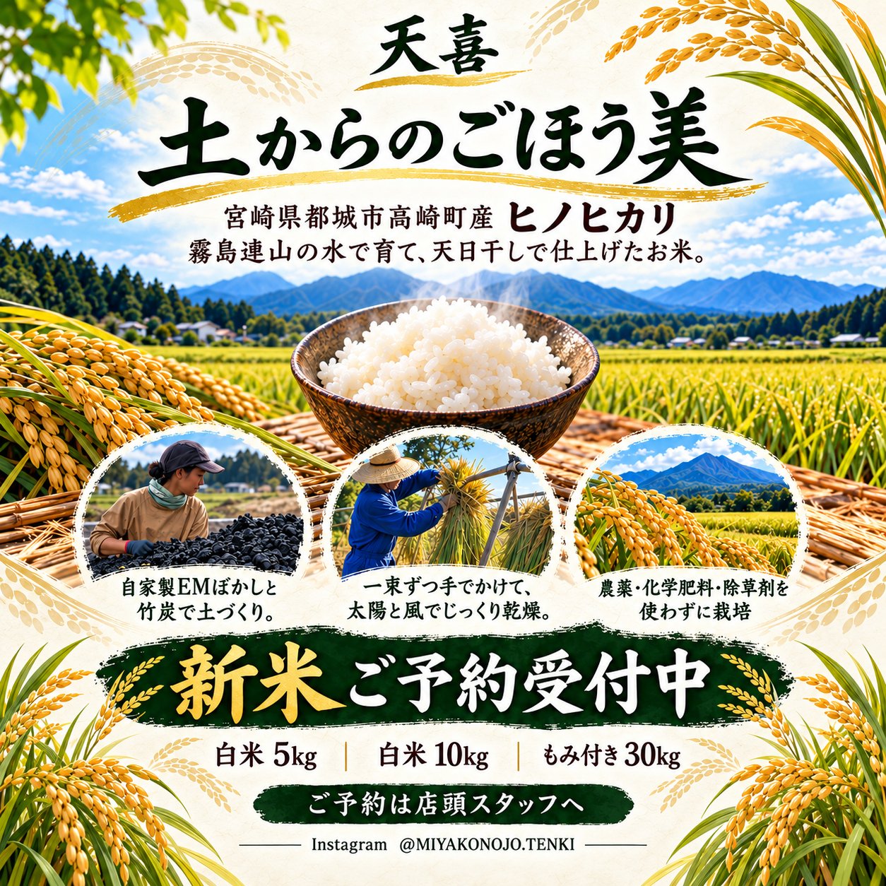 天喜｜土からのご褒…の最新投稿「新米のご予約受付中🌾」｜産地直送の