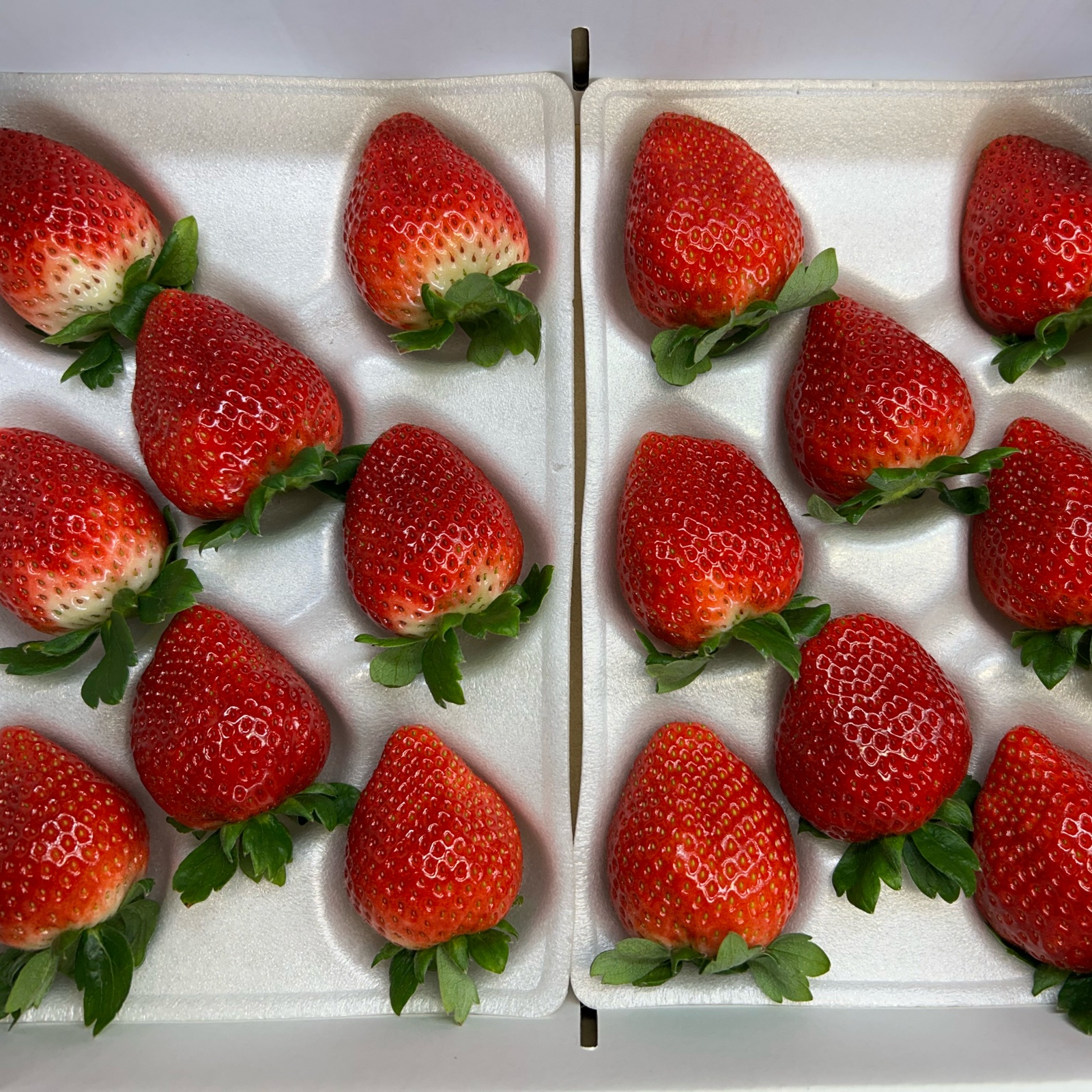 とちあいか 大粒 厳選 贈り物 一粒30g以上 | 果物/いちご 産直アウル