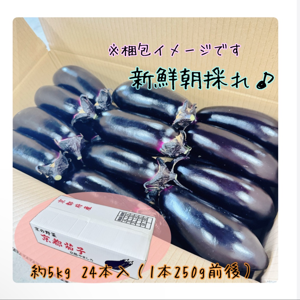 今が旬！なす京都府産（約5kg/24本入※大きめサイズ！）《贈答用・ご