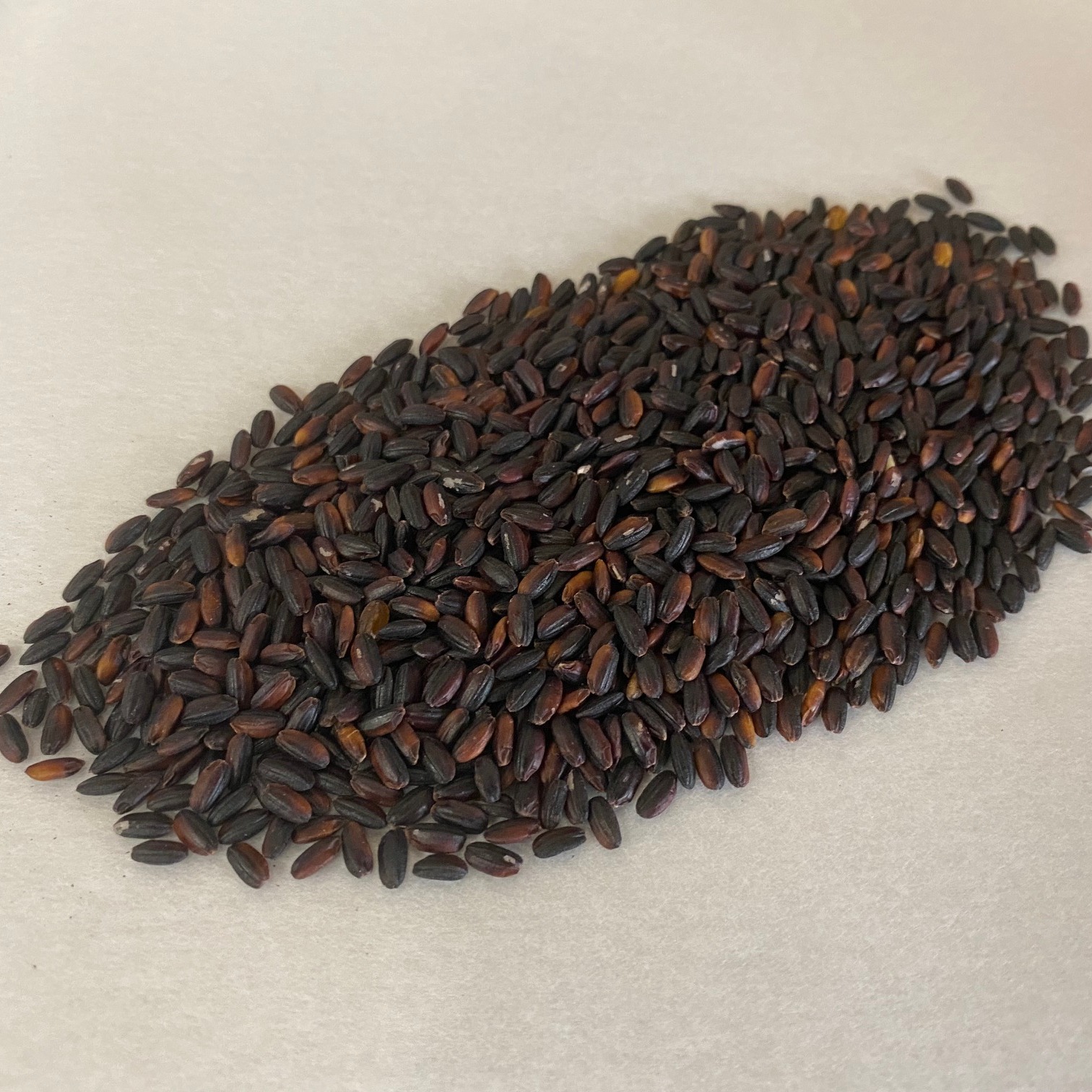 令和7年産 黒米 さよむらさき 古代米 無農薬 5kg ｜ 米・穀物/玄米