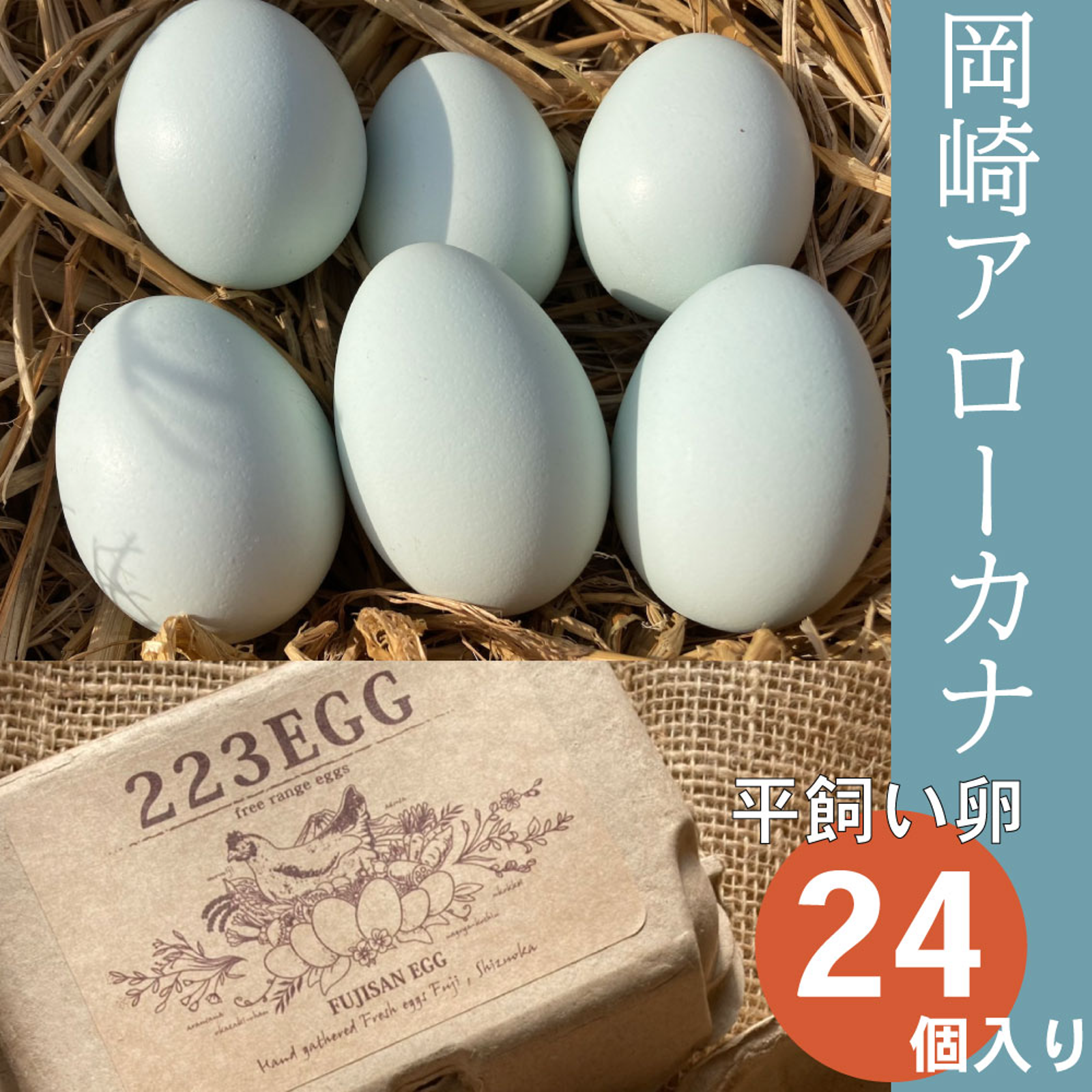 平飼い 卵 24個セット］ 岡崎アローカナ 223EGG たまご | 卵/鶏卵 産直 