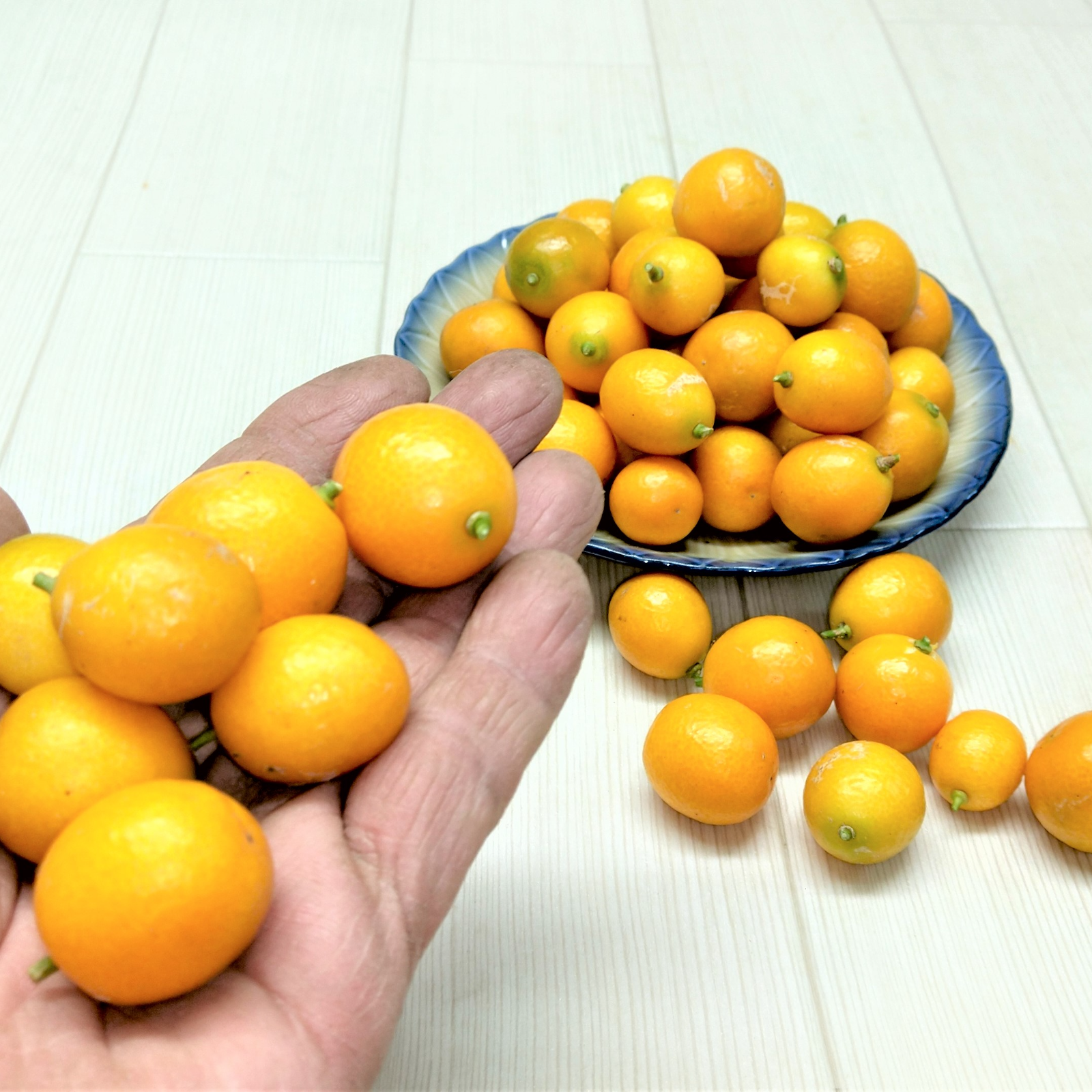 金柑200g、広島県産産地直送家庭用サイズ混合農薬不使用コンビニ払いNG