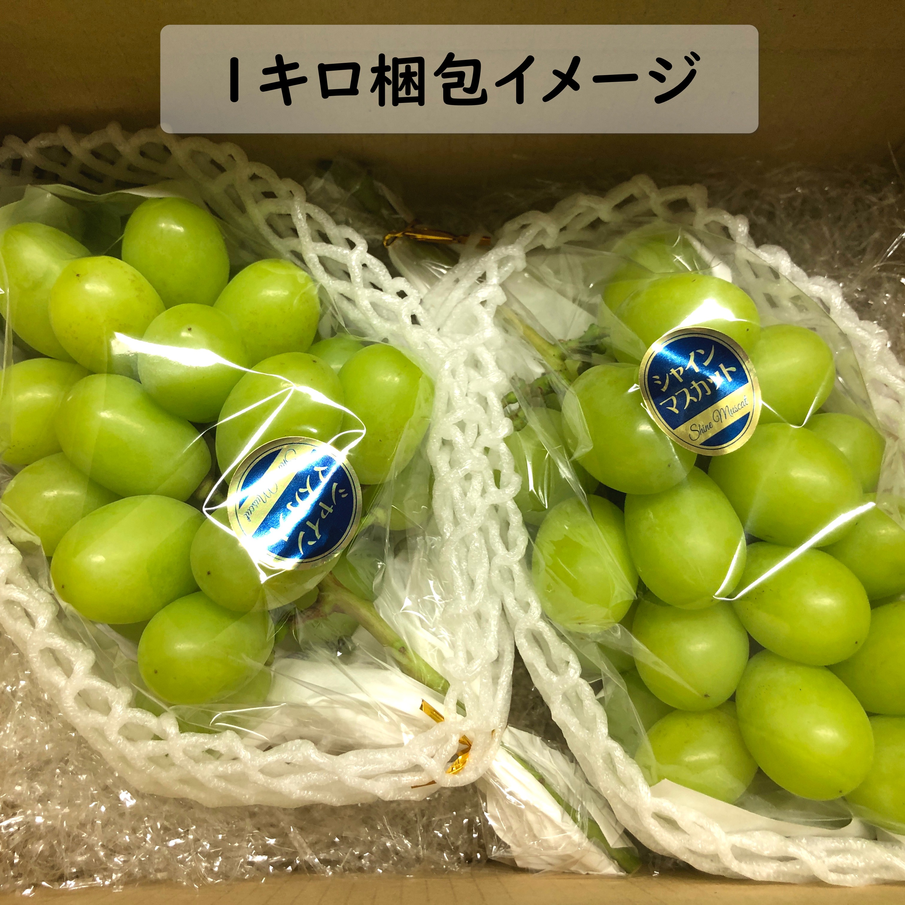 クール便山梨ハウスシャインマスカット5房　3000gあっぷ